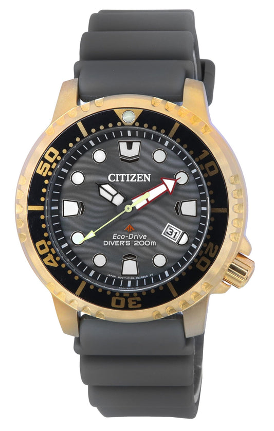 Citizen Promaster Grey Dial Eco-Drive Diver's BN0163-00H 200M herrklocka